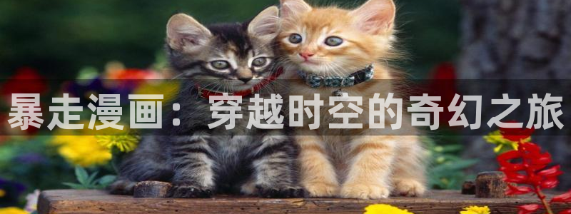 汗汗漫画免费漫画下拉式阅读