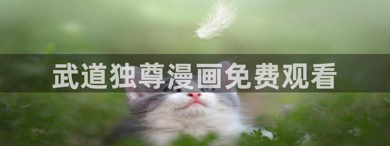 汗汗漫画首页在线观看