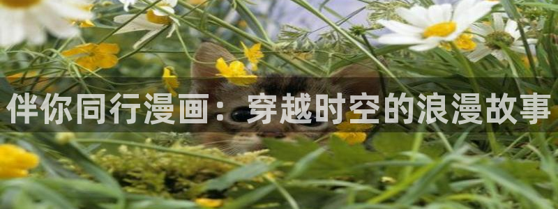 歪歪汗汗漫画网站：伴你同行漫画：穿越时空的浪漫故事