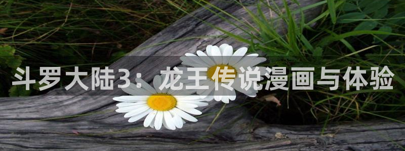 歪歪漫画羞羞漫画汗汗漫画：斗罗大陆3：龙王传说漫画与体验