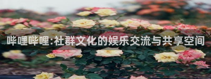 羞羞汗汗漫画在线观看
